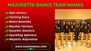 Image result for Fusion twirlers