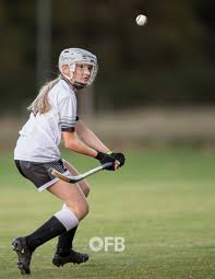 Image result for Lovat Shinty Club