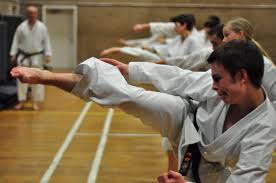 Image result for Kaizen No-Michi, Cleethorpes Karate Dojo