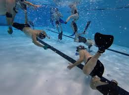 Image result for Tewkesbury and Cheltenham Underwater Hockey Club