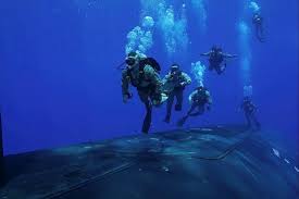 Image result for Deep Blue Diving