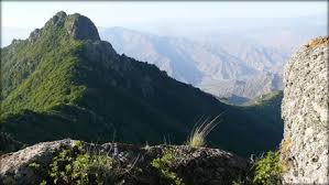 Attēlu rezultāti vaicājumam “Euphydrias aurinia”