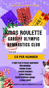 Image result for Cardiff Olympic Gymnastics Club