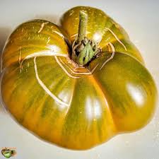 Afbeeldingsresultaat voor grubbs mystery green tomato