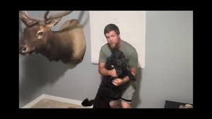 Image result for Orion Bowhunters