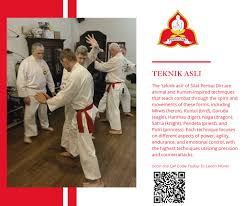 Image result for Silat Pd (Perisai Diri) UK