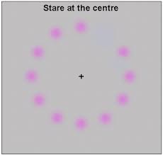 Image result for Lilac Chaser