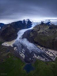 Image result for svikmøllen