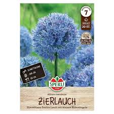 Image result for Zierlauch