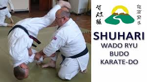 Image result for Thatcham Wado Karate Club