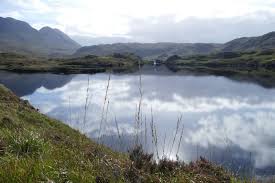 Attēlu rezultāti vaicājumam “Bayeriola thymicola”