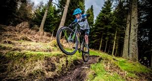 Image result for Epping Forest Mountain Bike Club