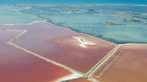 Image result for parque natural de camargue