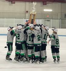 Image result for Adur Skater Hockey Club