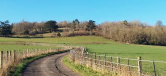 Image result for Ramblers Association - Mole Valley Group
