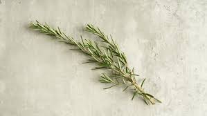 Image result for Rosmarin