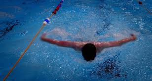 Image result for Stocksbridge Pentaqua Swimming Club
