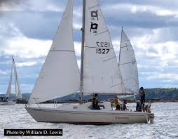 Image result for Ashdown Sailing Club