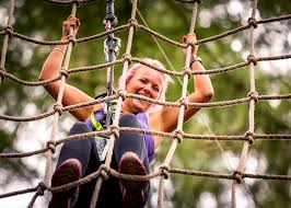 Image result for Go Ape! Alice Holt