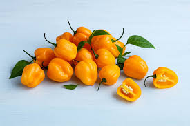 Afbeeldingsresultaat voor orange habanero hot pepper