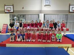Image result for Asymmetrix Gymnastics Club