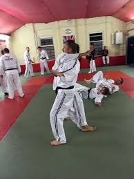 Image result for Marsden martial arts