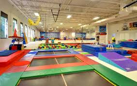 Image result for Fish trampoline and gymnastics club