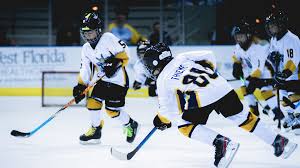 Image result for Perth Junior Ice Hockey Club