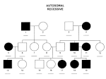 <b>Pedigree</b> chart showing