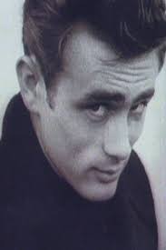 Attēlu rezultāti vaicājumam “Diderma testaceum young”