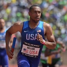 Attēlu rezultāti vaicājumam “Bryum pallens”