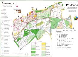 Image result for Bristol Orienteering Klub