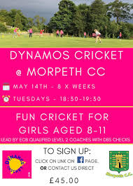 Image result for Morpeth Junior Cricket Club