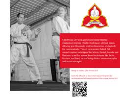 Image result for Silat Pd (Perisai Diri) UK