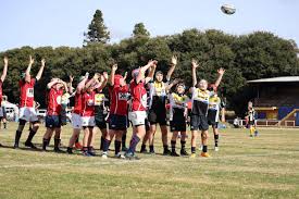 Image result for Tamworth Rugby Union Football Club