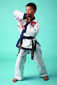 Image result for Tang Sou Dao Ren Yi Wu Kwan - Huntingdon