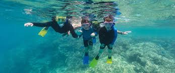 Image result for Wyndley NSC Snorkelling Club