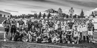 Image result for Wolfe Tones Gaelic Athletic Club