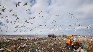 Image result for neapel abfallberge