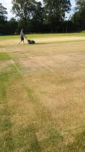 Image result for Broadbridge Heath Cricket Club
