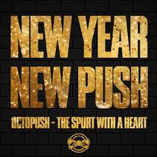 Image result for York Octopush Club