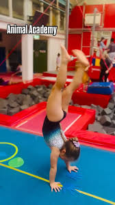 Image result for City Of Liverpool Gymnastics Club