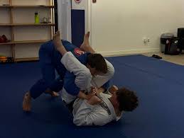 Image result for widnes judo