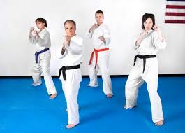 Image result for Beeches Martial Arts
