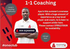 Image result for Paignton Cc