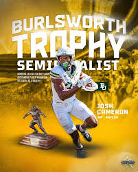 Image result for Lodsworth Stoolball Club