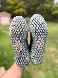 Attēlu rezultāti vaicājumam “Chara rudis”