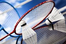Image result for Ascension Badminton Club