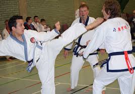 Image result for Tang Sou Dao Ren Yi Wu Kwan - Huntingdon