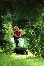 Image result for etesia tehron